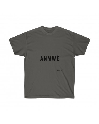 T-shirt ANMWE, couleur charcoal